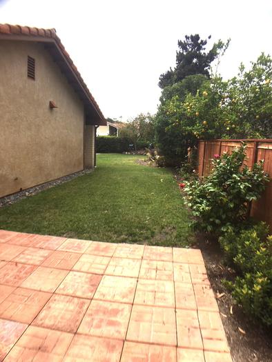 Lush Landscaping Listing photo 14